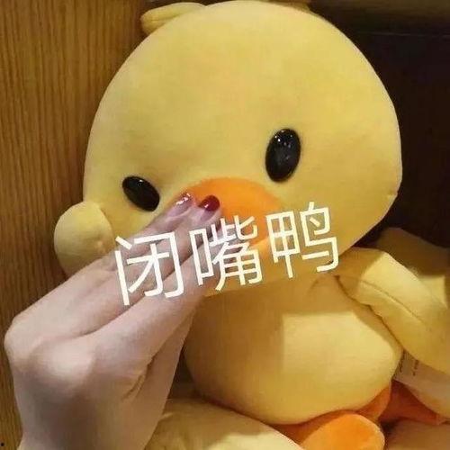嘟嘴鸭表情包,萌态可掬的趣味瞬间